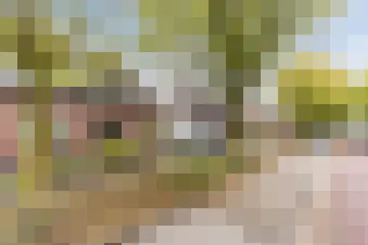 Kerkveld 65 Nistelrode thumbnail 60