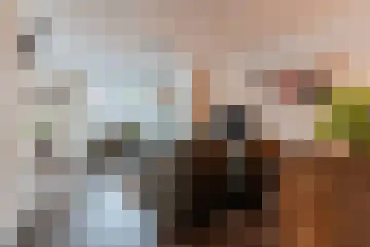 Kerkveld 65 Nistelrode thumbnail 8