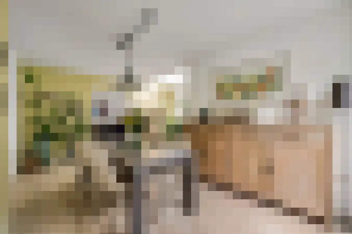 Kerkveldstraat 16 Baexem thumbnail 13