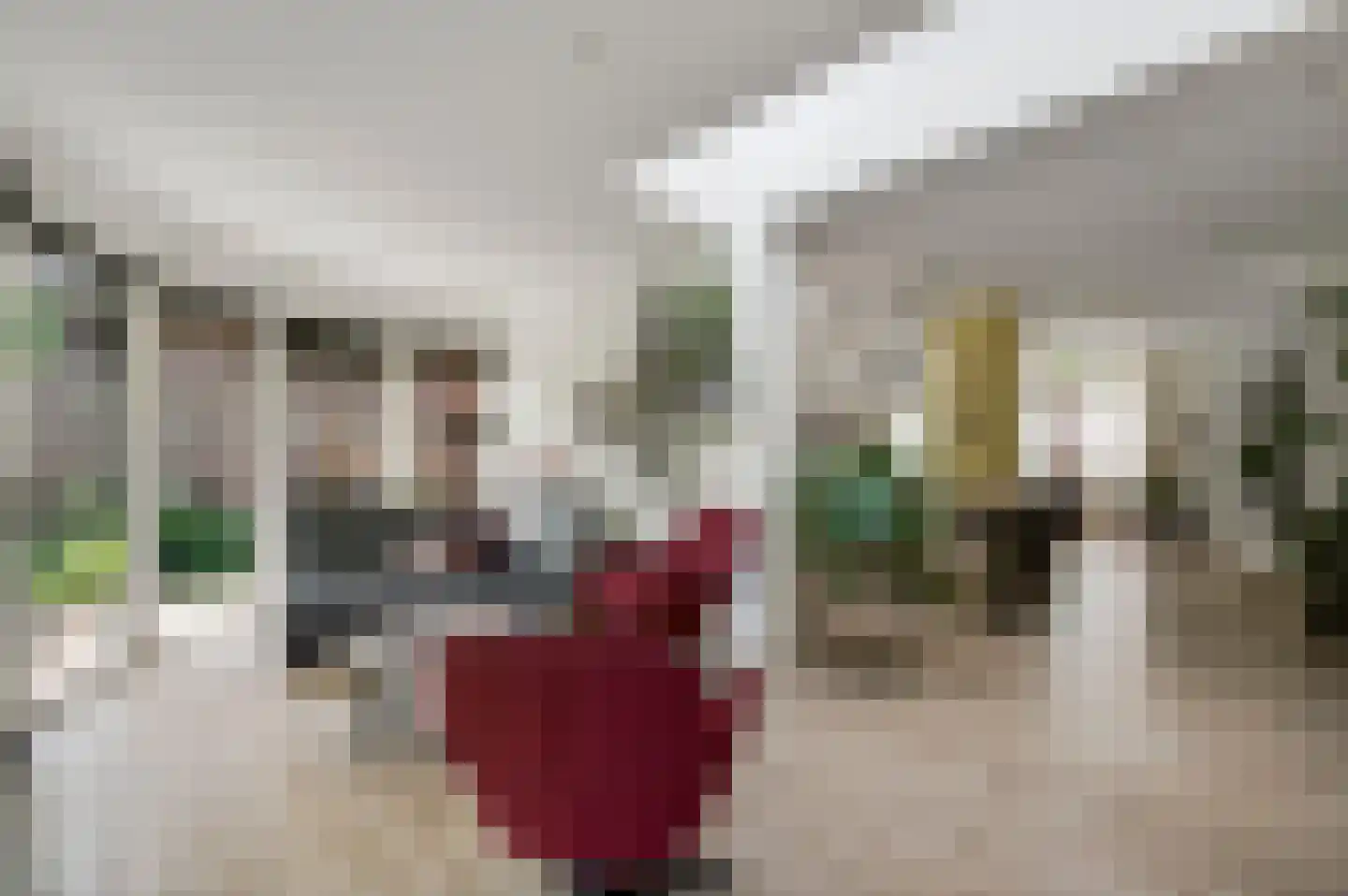 Kerkveldstraat 16 Baexem thumbnail 17