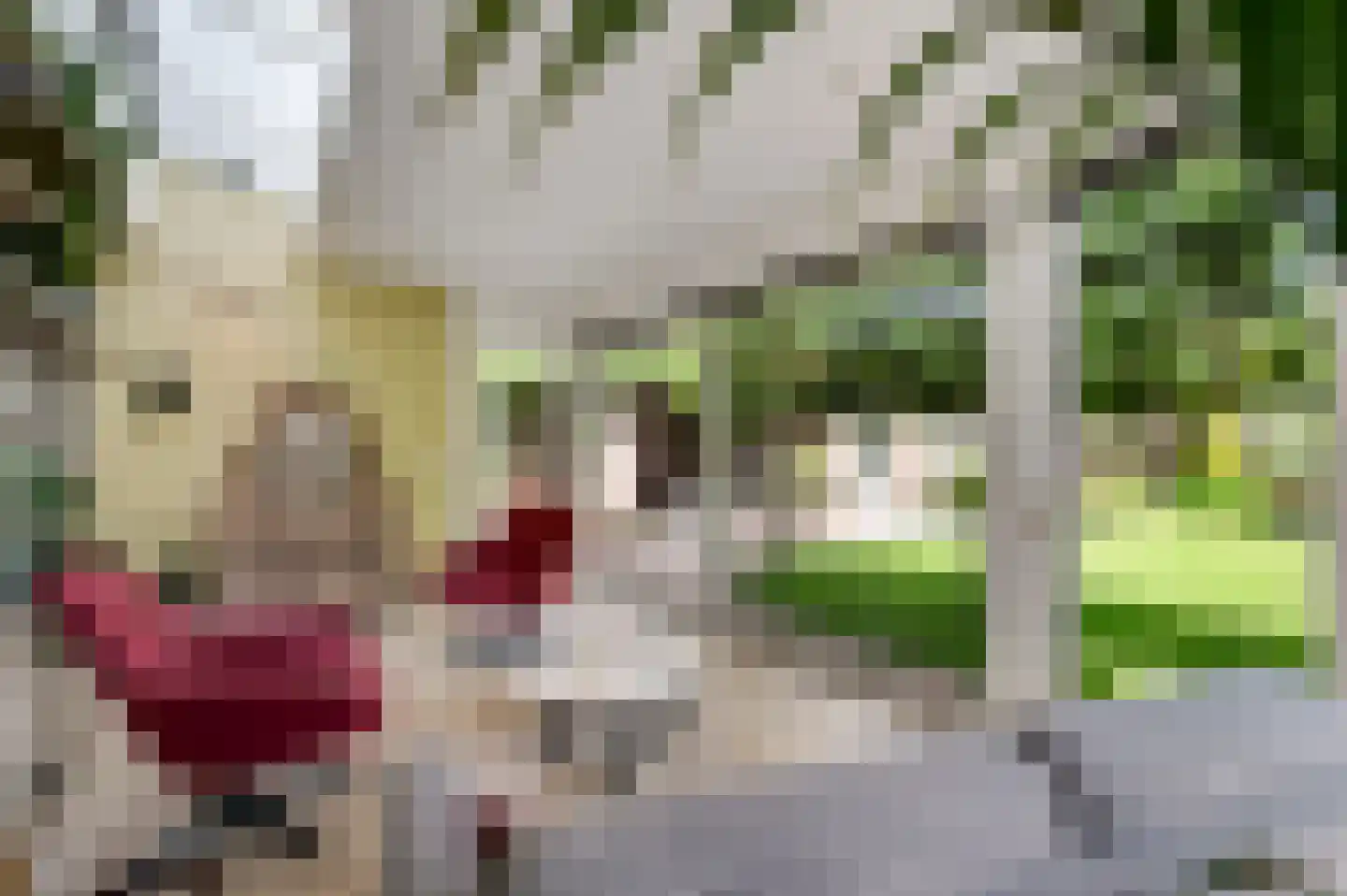 Kerkveldstraat 16 Baexem thumbnail 18