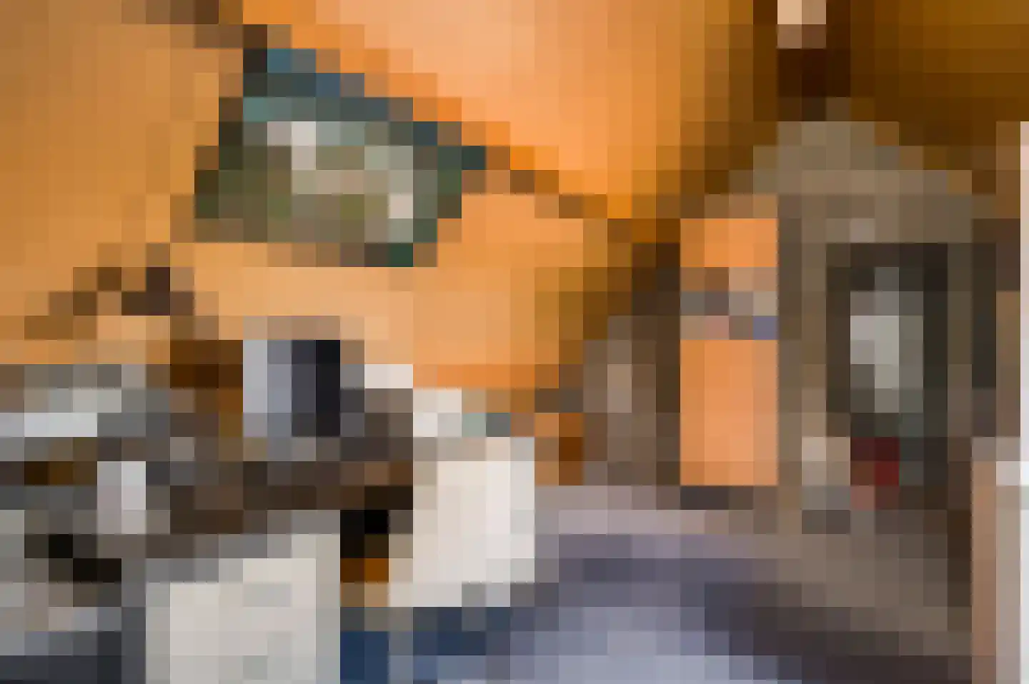 Kerkveldstraat 16 Baexem thumbnail 38