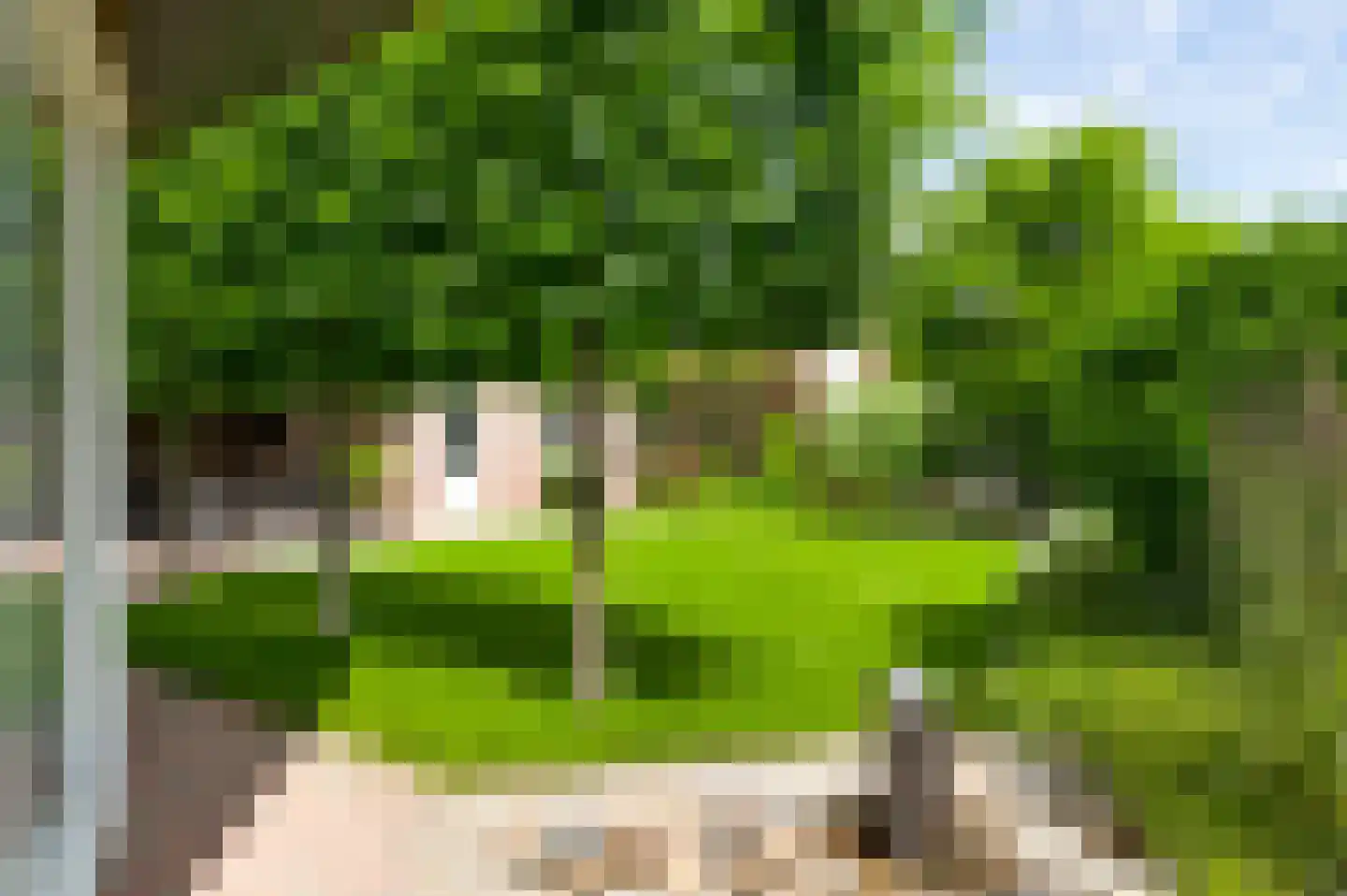 Kerkveldstraat 16 Baexem thumbnail 45