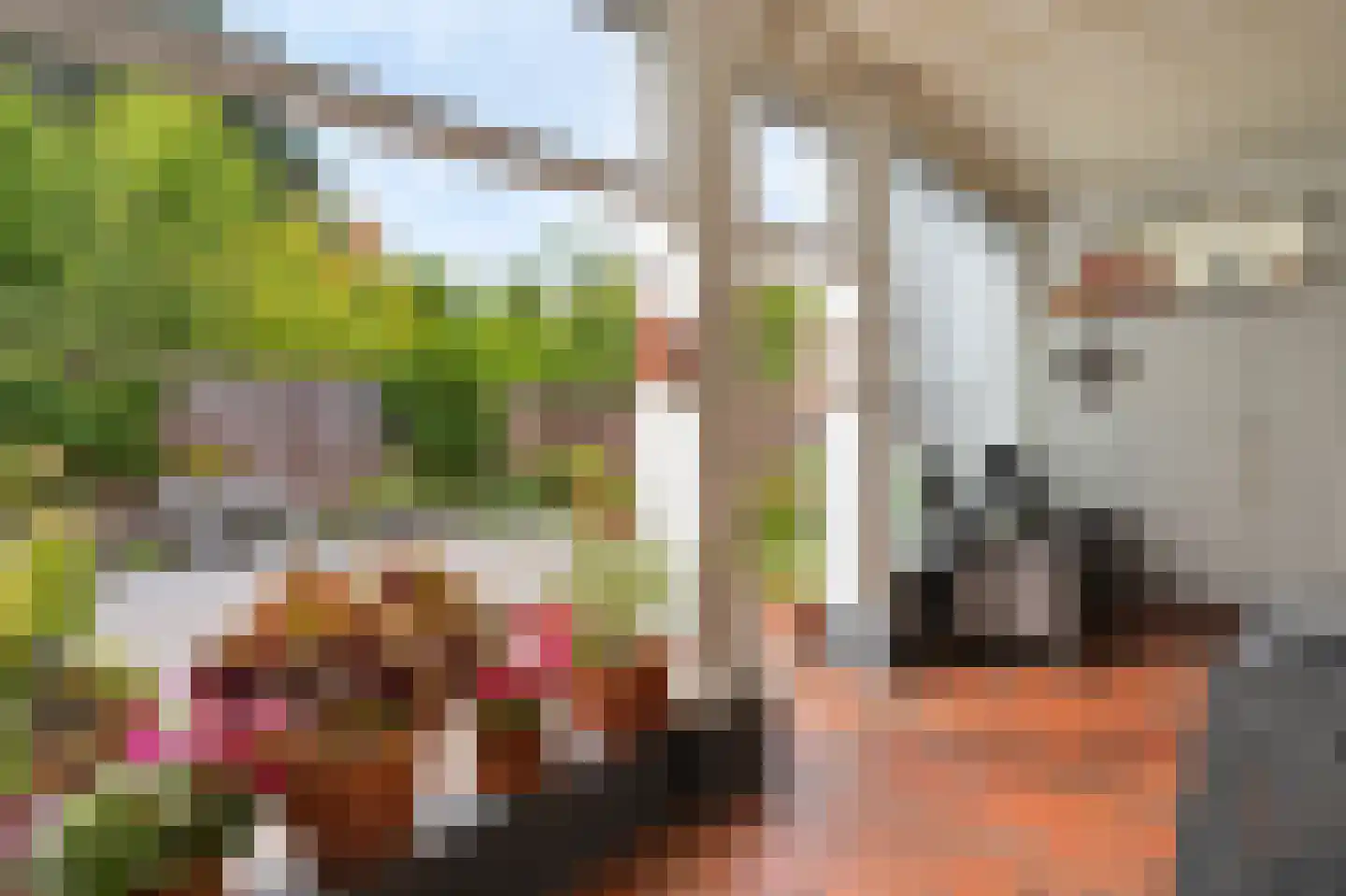 Kerkveldstraat 6 Vaals thumbnail 18
