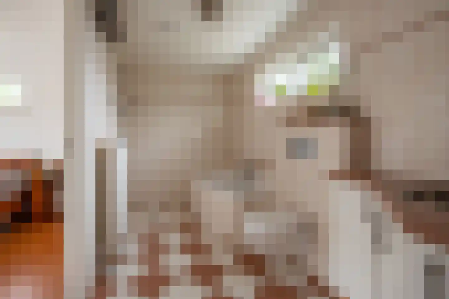 Kerkveldsweg West 2 A Echt thumbnail 10