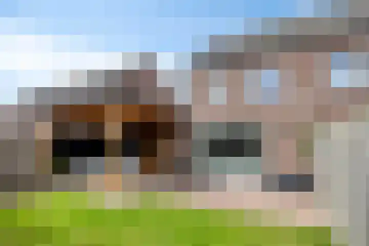 Kerkveldweg 3 A Weert thumbnail 32