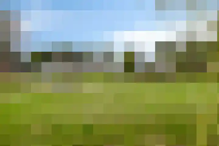 Kerkveldweg 3 A Weert thumbnail 41