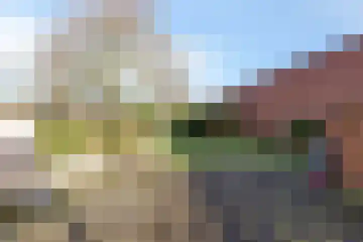 Kerkveldweg 6 Roggel thumbnail 34