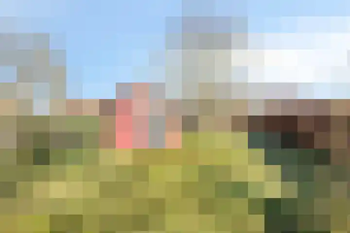 Kerkveldweg 6 Roggel thumbnail 37
