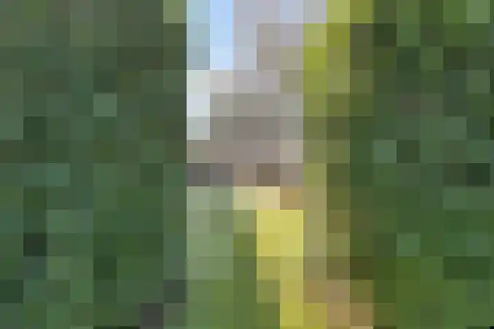 Kerkveldweg 6 Roggel thumbnail 39