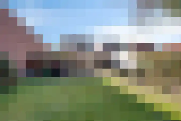 Kerkveldweg 6 Roggel thumbnail 40