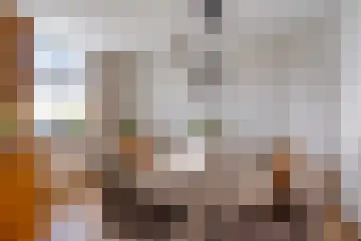 Kerkveldweg 6 Roggel thumbnail 7