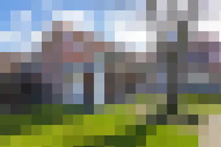 Kerkveldweg 8 Weert thumbnail 41