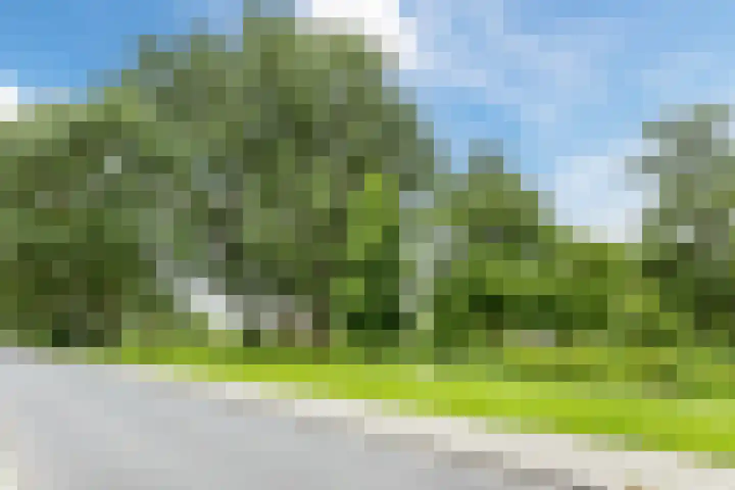 Kerkven 2 Zaandam thumbnail 36