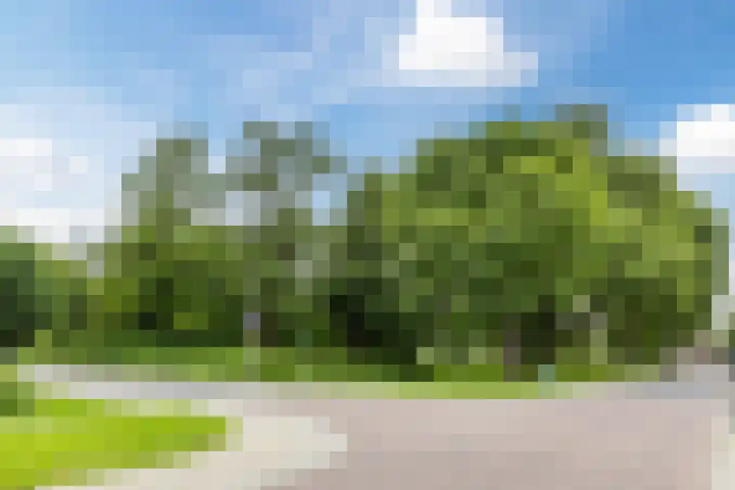 Kerkven 2 Zaandam thumbnail 37