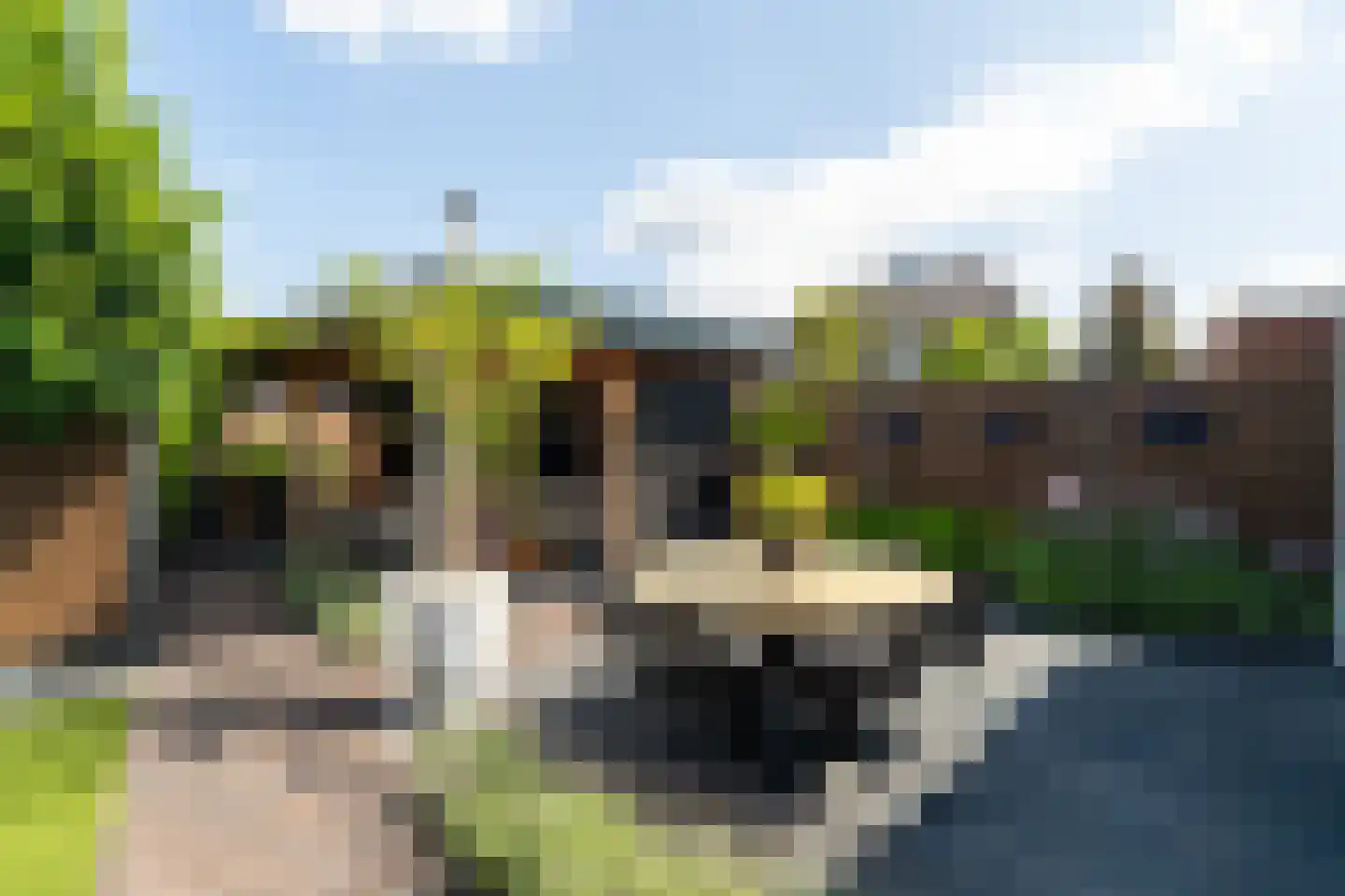 Kerkverreweide 6 a Wijk en Aalburg thumbnail 46