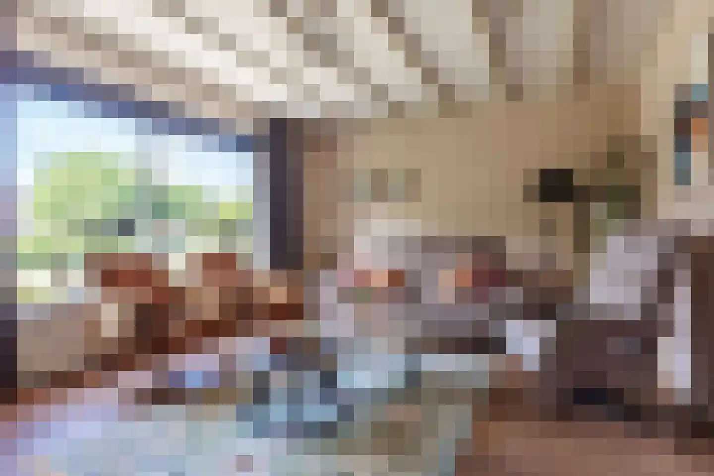 Kerkvonder 8 Ven-Zelderheide thumbnail 10