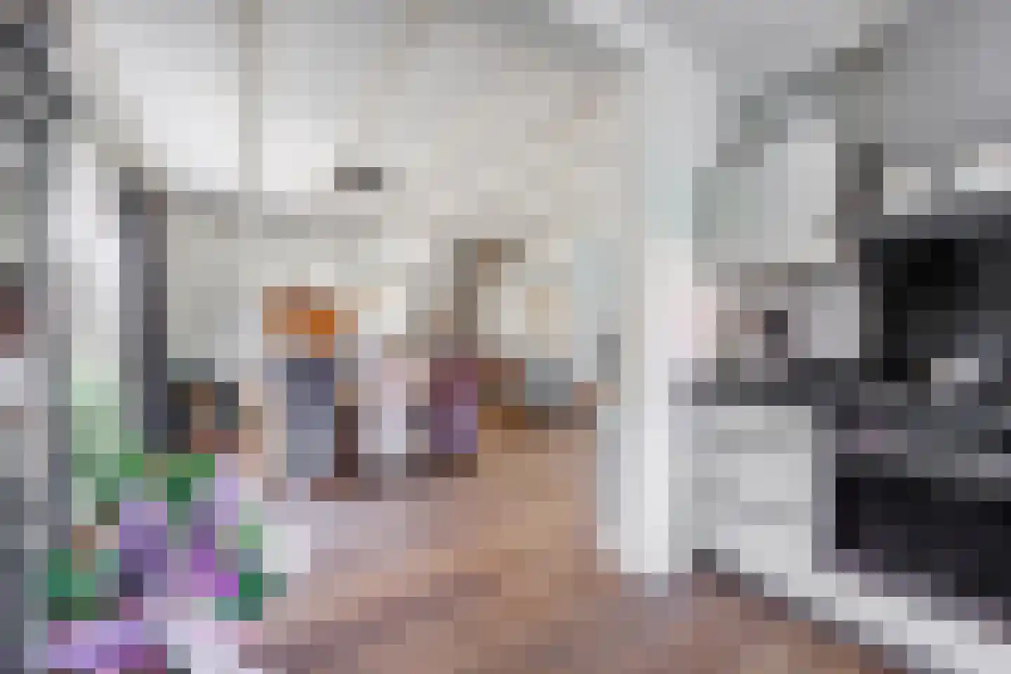 Kerkvonder 8 Ven-Zelderheide thumbnail 18