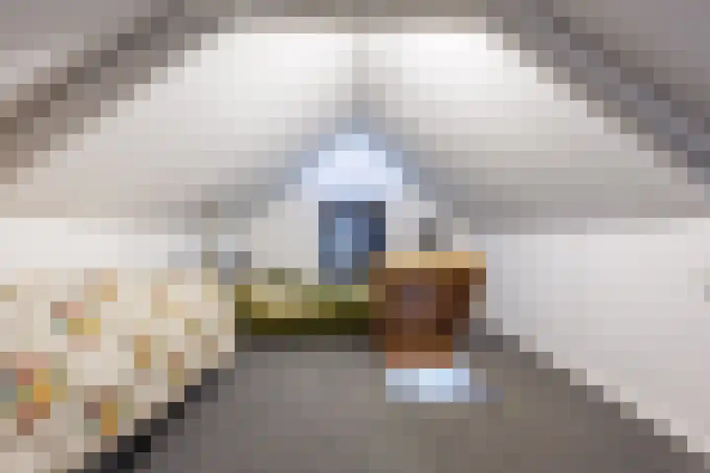 Kerkvonder 8 Ven-Zelderheide thumbnail 21