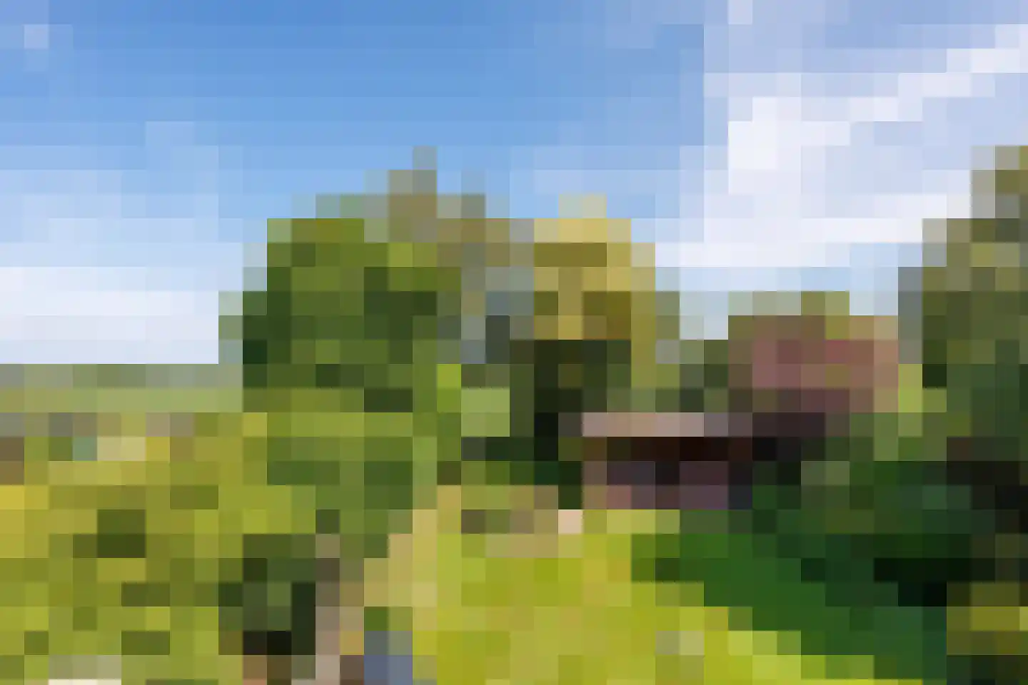 Kerkvonder 8 Ven-Zelderheide thumbnail 37