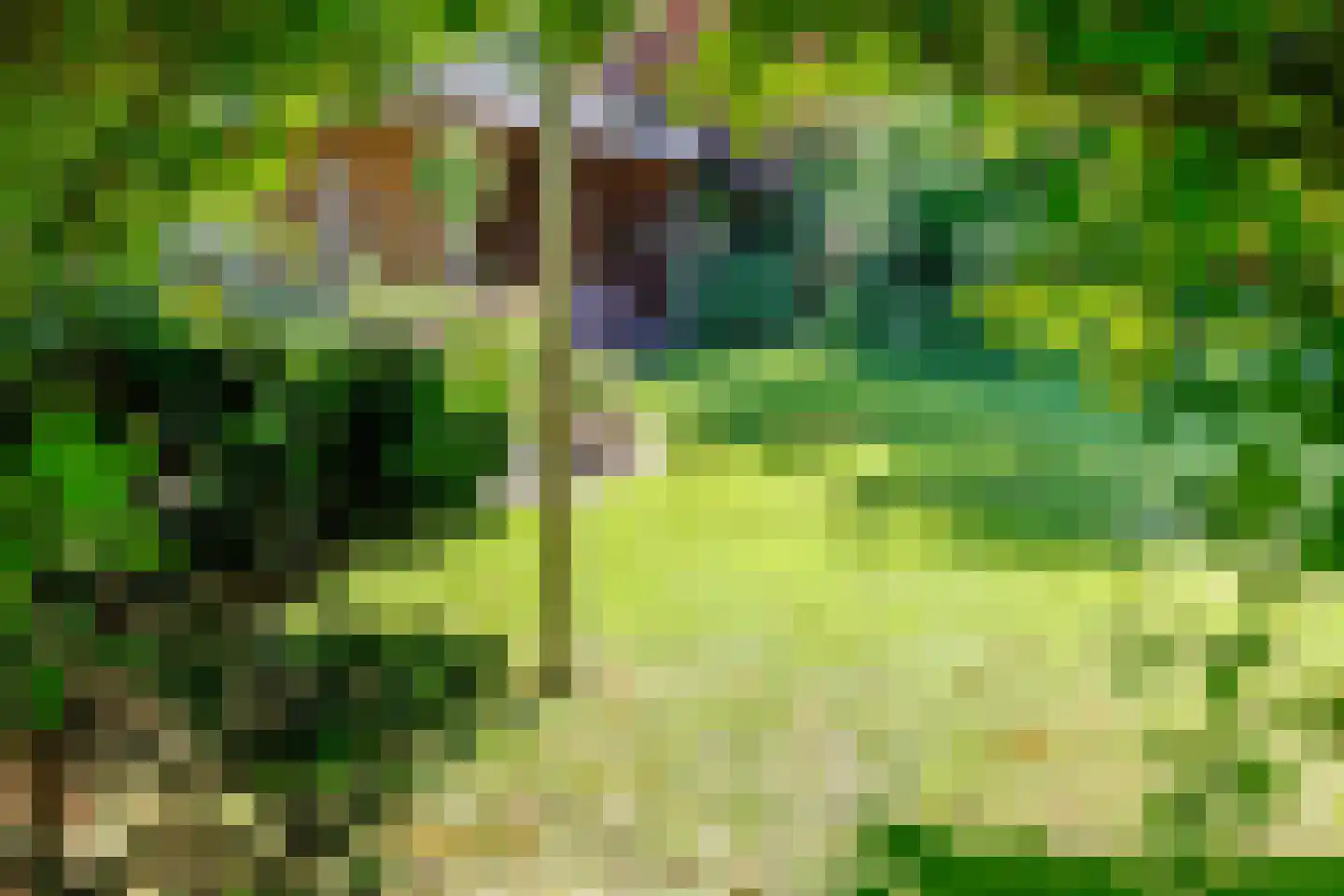 Kerkvonder 8 Ven-Zelderheide thumbnail 38