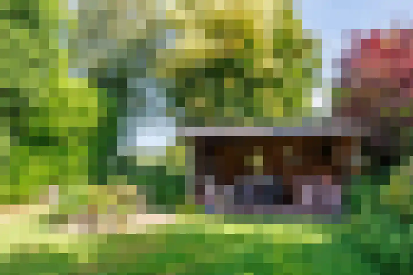 Kerkvonder 8 Ven-Zelderheide thumbnail 39