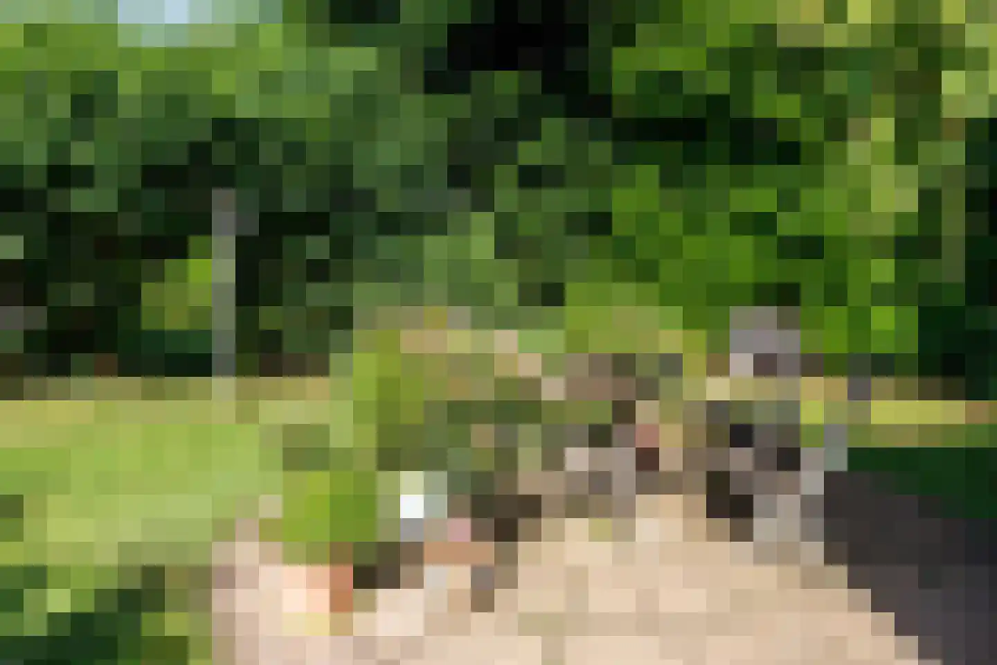 Kerkvonder 8 Ven-Zelderheide thumbnail 40
