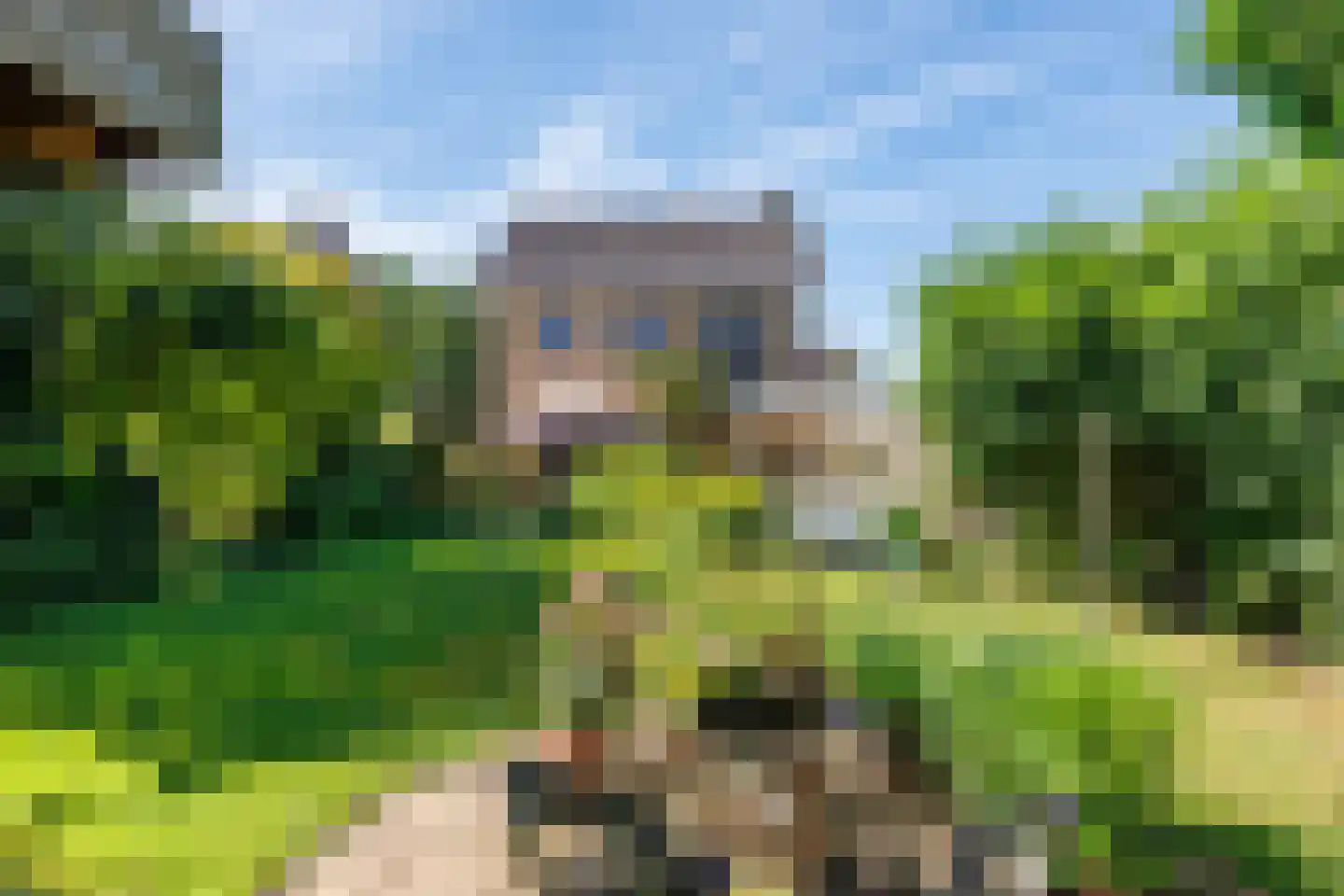Kerkvonder 8 Ven-Zelderheide thumbnail 41