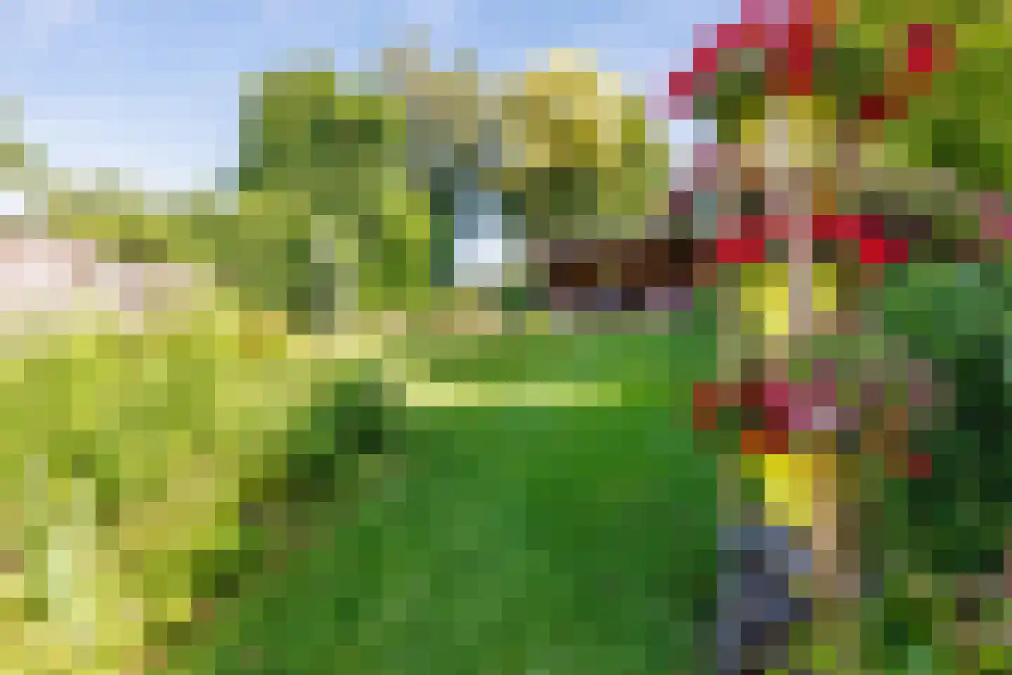 Kerkvonder 8 Ven-Zelderheide thumbnail 43