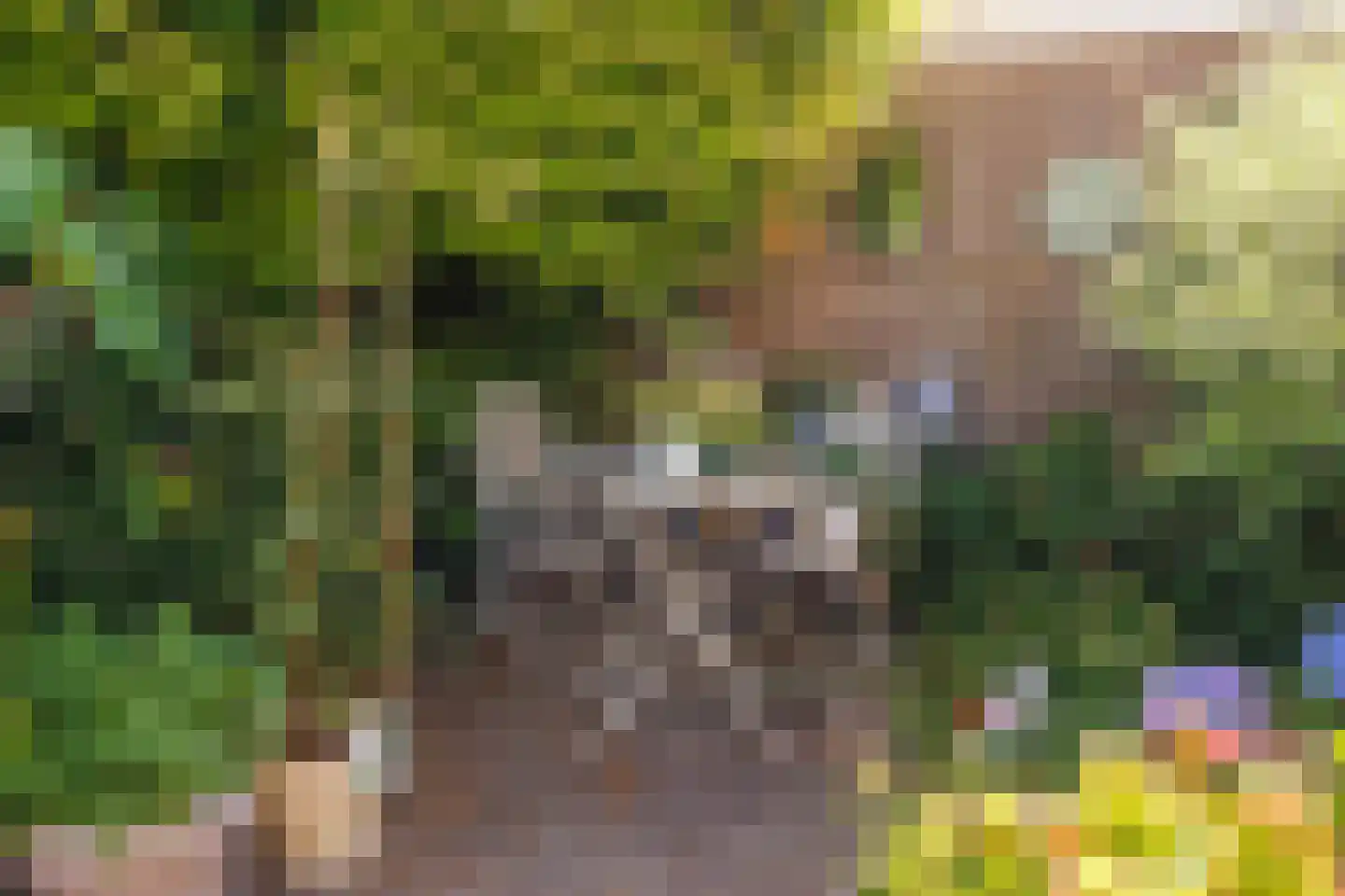 Kerkvonder 8 Ven-Zelderheide thumbnail 44