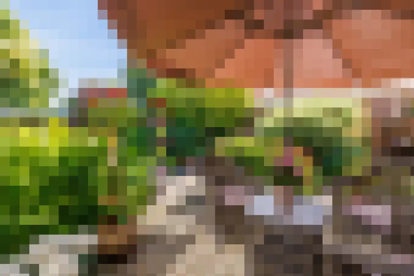 Kerkvonder 8 Ven-Zelderheide thumbnail 46
