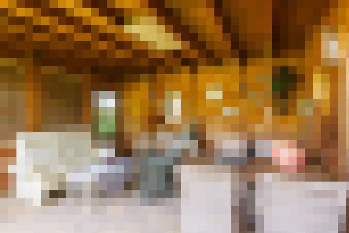 Kerkvonder 8 Ven-Zelderheide thumbnail 47