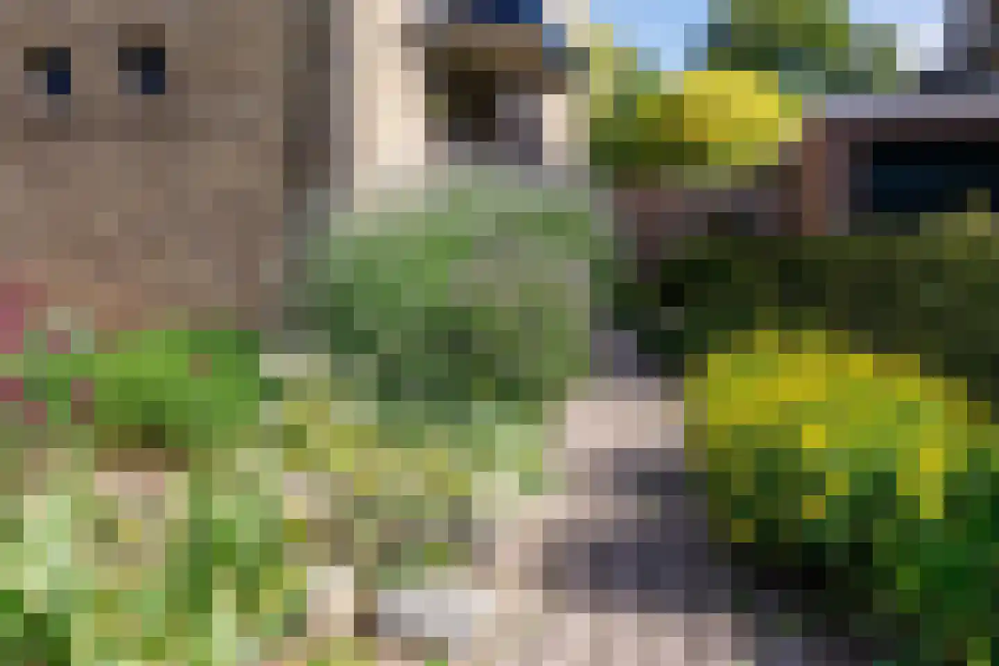 Kerkvonder 8 Ven-Zelderheide thumbnail 51