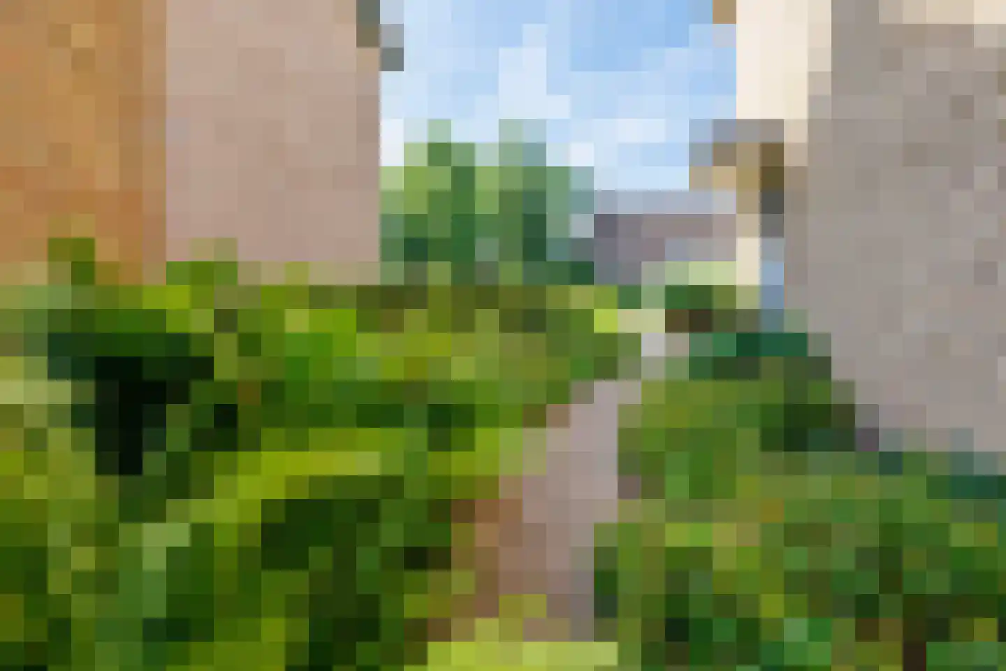 Kerkvonder 8 Ven-Zelderheide thumbnail 53