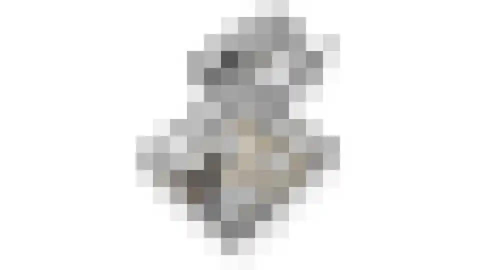 Kerkvonder 8 Ven-Zelderheide thumbnail 64