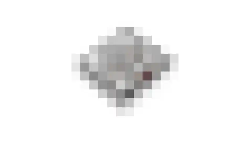 Kerkvonder 8 Ven-Zelderheide thumbnail 66