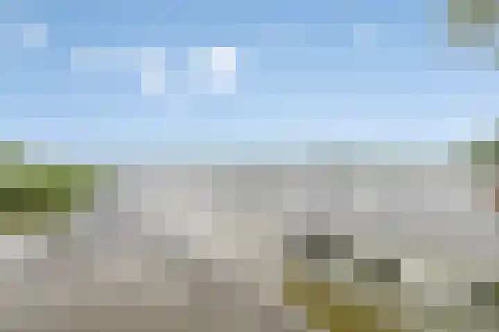 Kerkvonderen 1 Buchten thumbnail 15