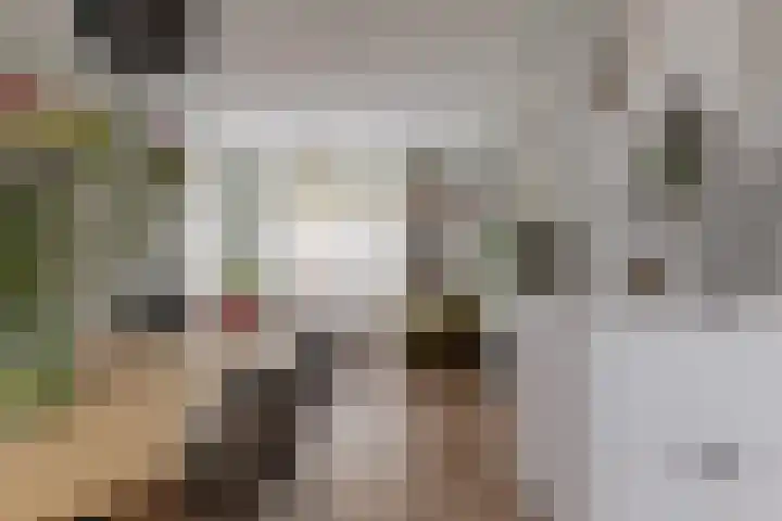 Kerkvonderen 1 Buchten thumbnail 4