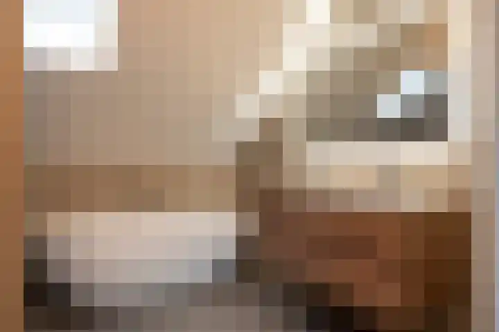 Kerkvonderen 1 Buchten thumbnail 46