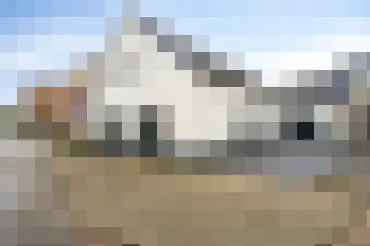 Kerkvonderen 1 Buchten thumbnail 7