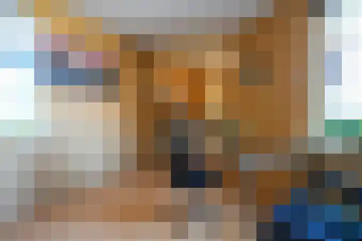 Kerkvonderen 46 Buchten thumbnail 4