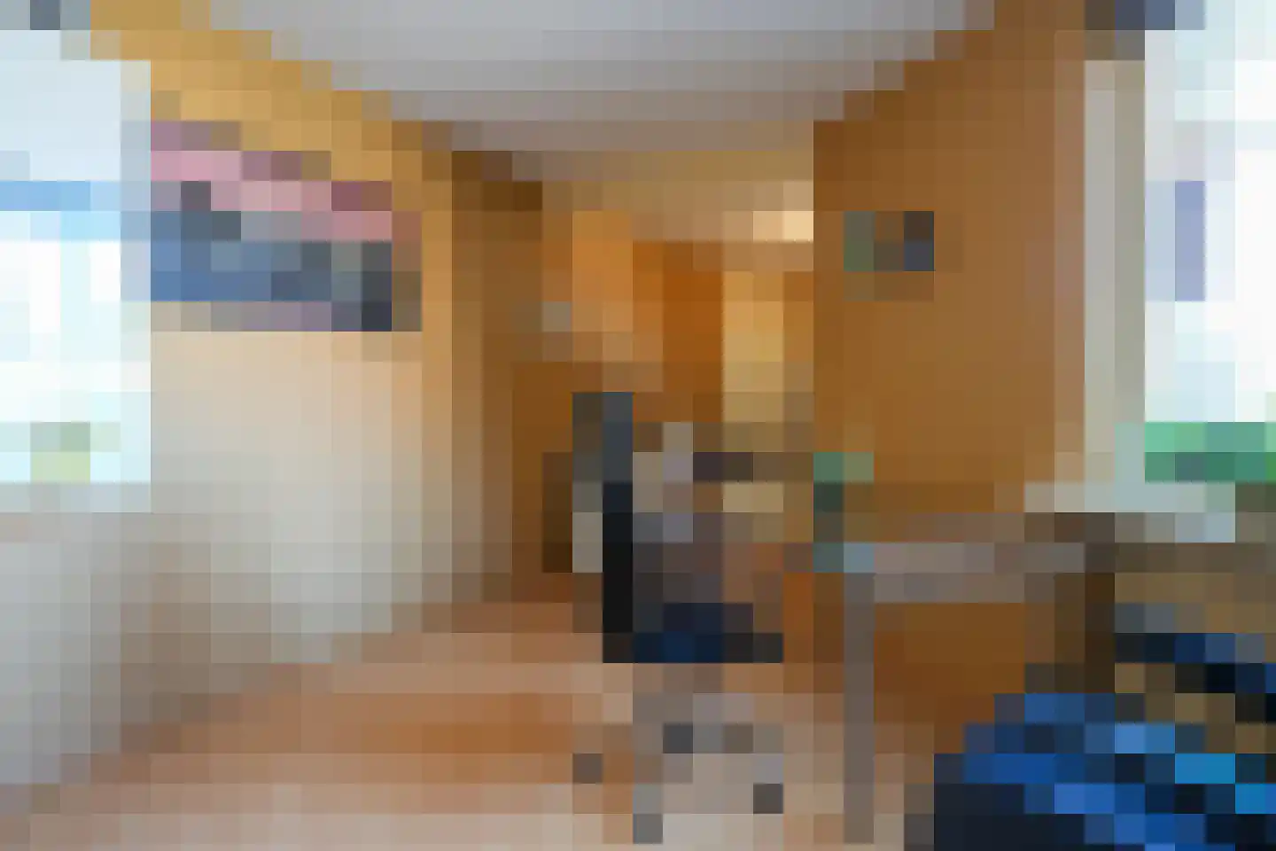 Kerkvonderen 46 Buchten thumbnail 4