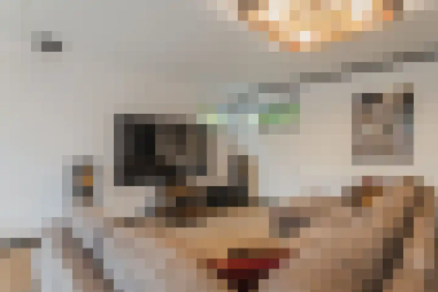Kerkweg 1 Heelsum thumbnail 12