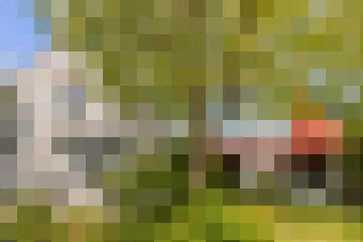Kerkweg 1 Ouderkerk aan den IJssel thumbnail 22