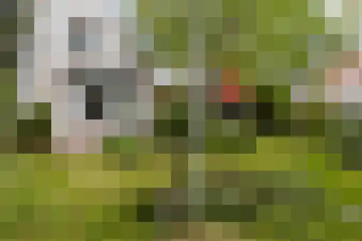 Kerkweg 1 Ouderkerk aan den IJssel thumbnail 23