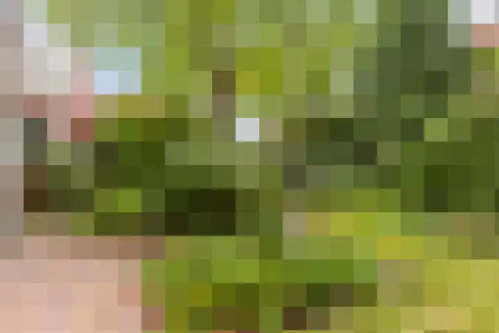 Kerkweg 1 Ouderkerk aan den IJssel thumbnail 24