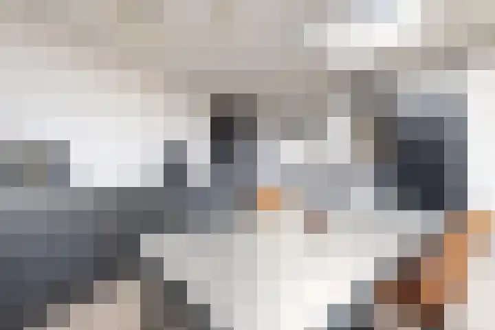 Kerkweg 10 Klundert thumbnail 26