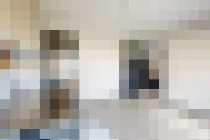 Kerkweg 10 Klundert thumbnail 42