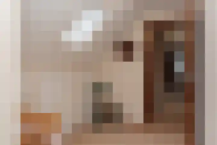 Kerkweg 10 Wezep thumbnail 41