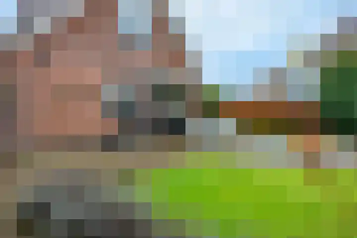 Kerkweg 10 Wezep thumbnail 45